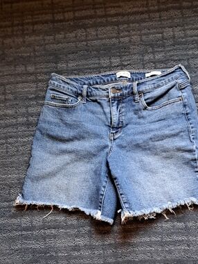 Wonderly Blue Denim Frayed-Hem Shorts